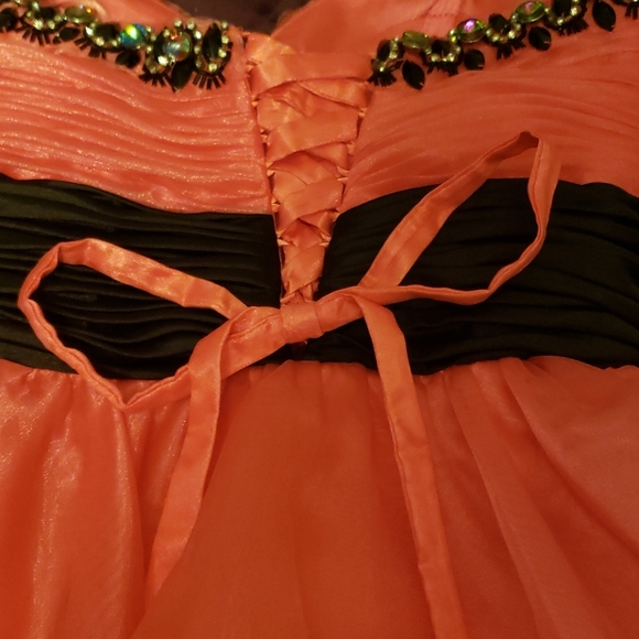 Salmon Cinderella Cocktail dress - Picture 5 of 5